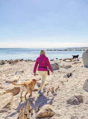 Hundefreundliche Ferienwohnung in Strandnähe